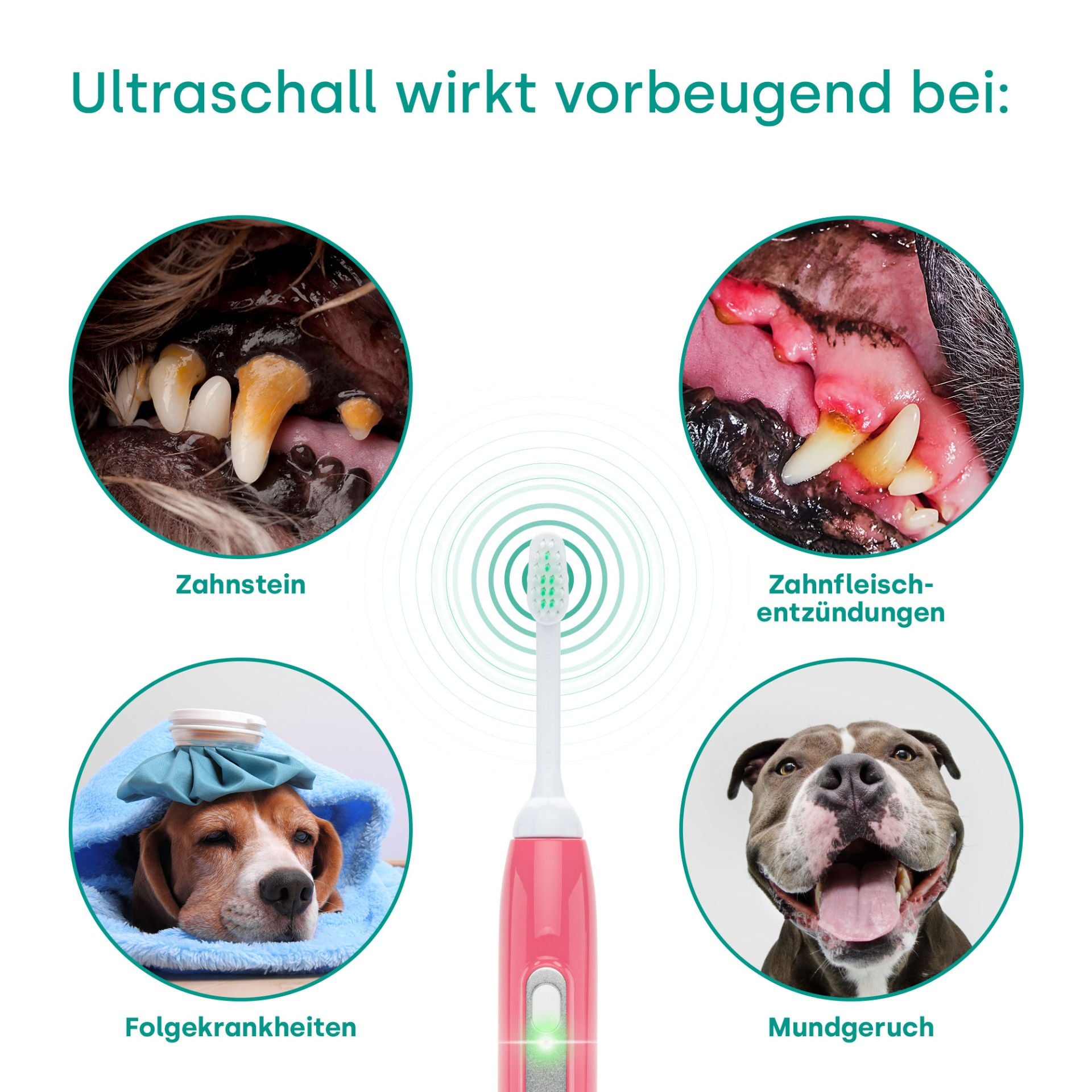 18261 - Emmi-pet Basis Set 2.0 Limited Pink UK Stecker
