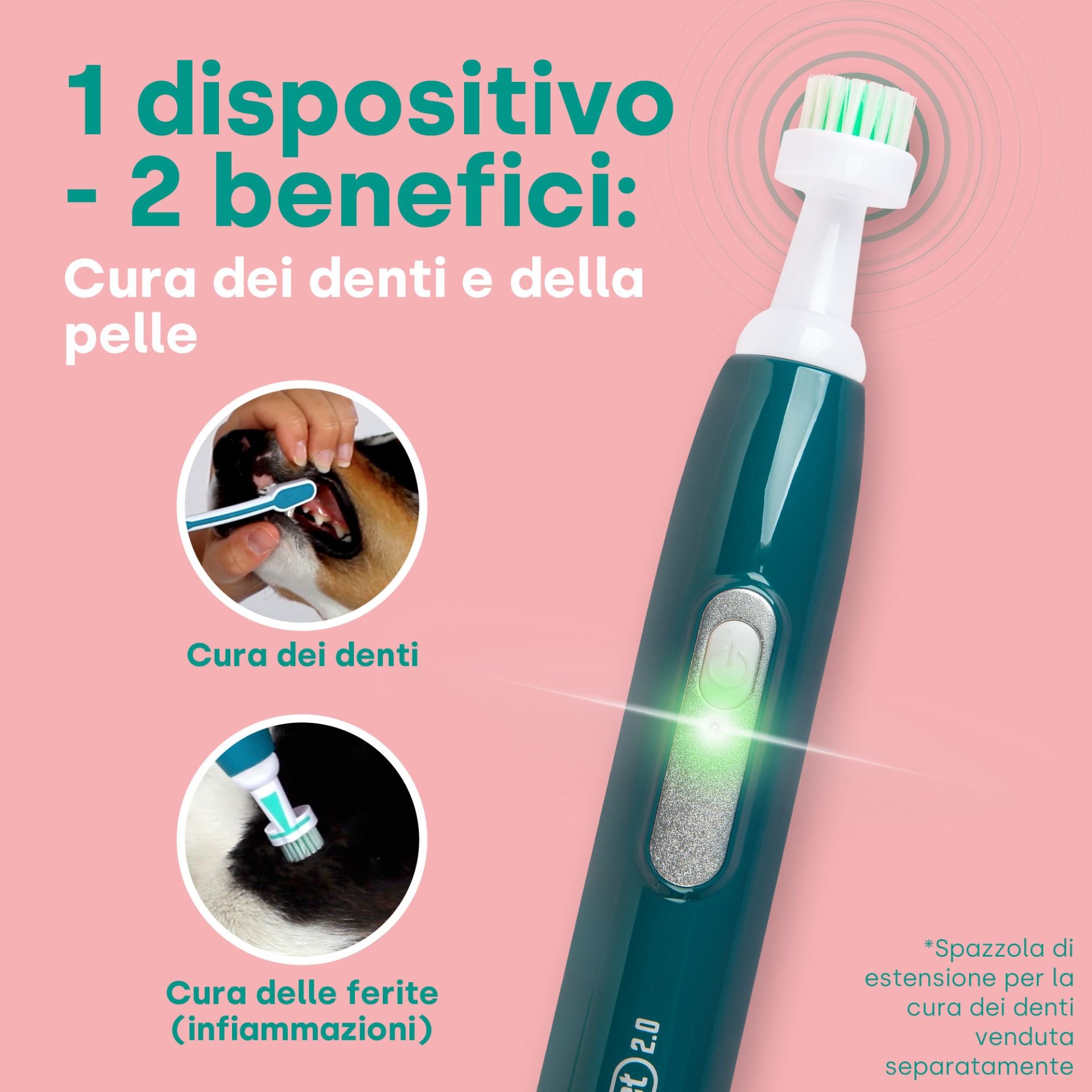 accessoires de soins de la peau P2